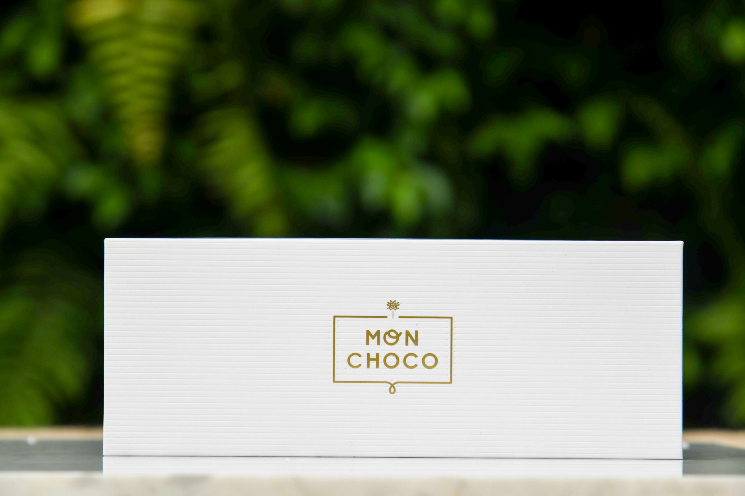 BONBON GANACHE CITRON (petit ballotin) – Image 2