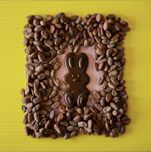 Lapin Gugus